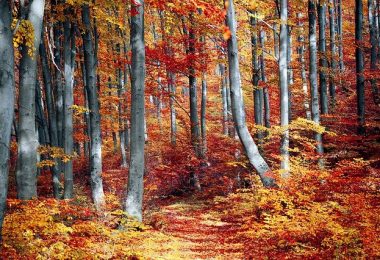 meilleures destinations pour voyager en automne